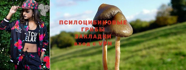 бошки Белокуриха