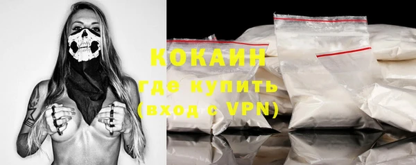 бошки Белокуриха
