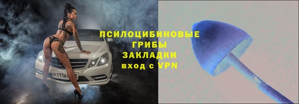 бошки Белокуриха